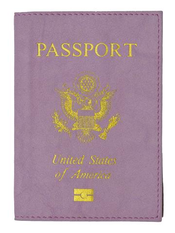 Leather USA Logo Passport Holder - Navy Blue